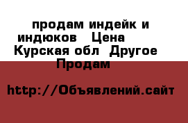 продам индейк и индюков › Цена ­ 350 - Курская обл. Другое » Продам   